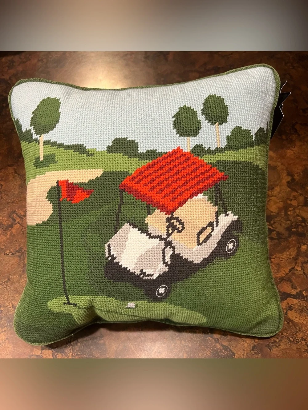 MSX Green needlepoint Golf Cart Accent Pillow Michael Strahan NWT